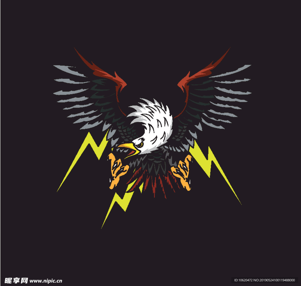 鹰