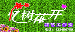 忆树花