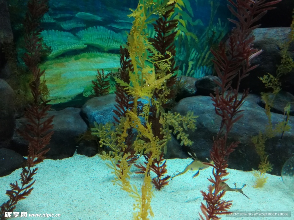 海底世界