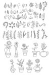 花叶线描稿