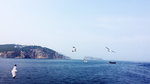 山海海鸥图