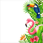 热带植物火烈鸟与鹦鹉