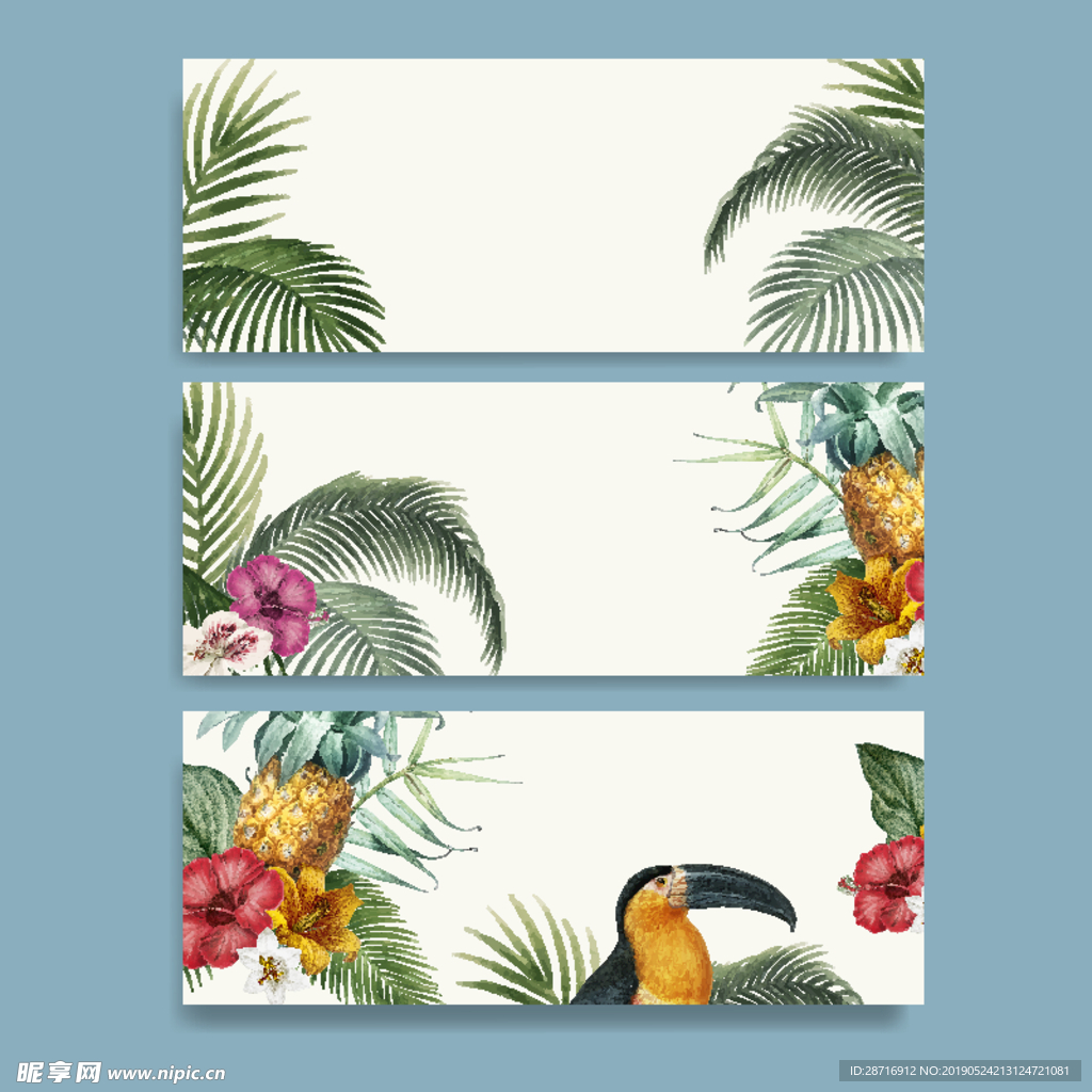 热带植物与鸟类