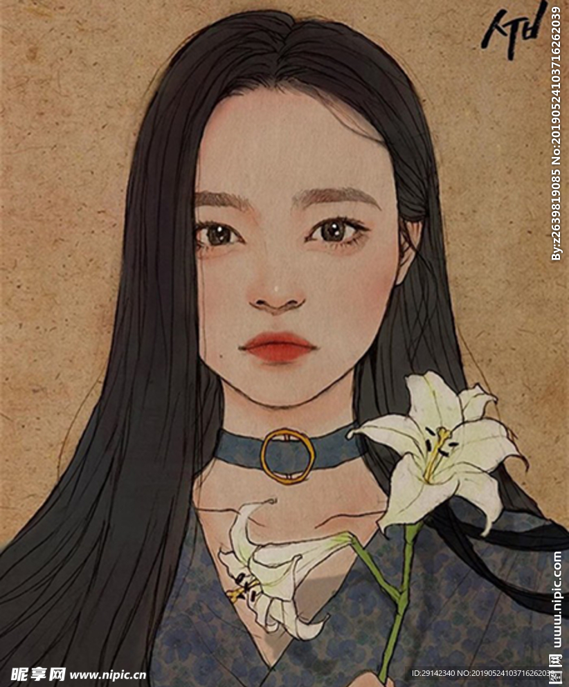 美女插画