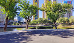 商务城市风景