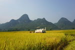 流山镇风光