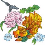 金鱼  荷花