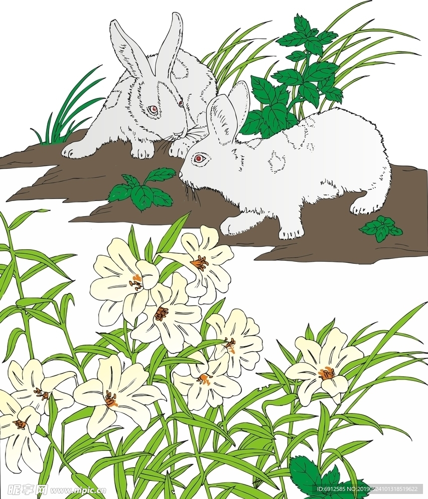 兔子  花草