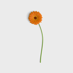 春花叶