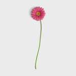 春花叶