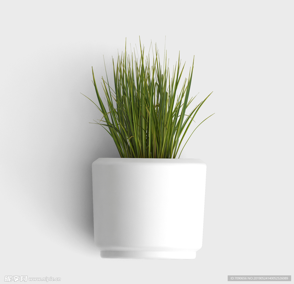 绿叶植物盆栽