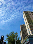 城市街景