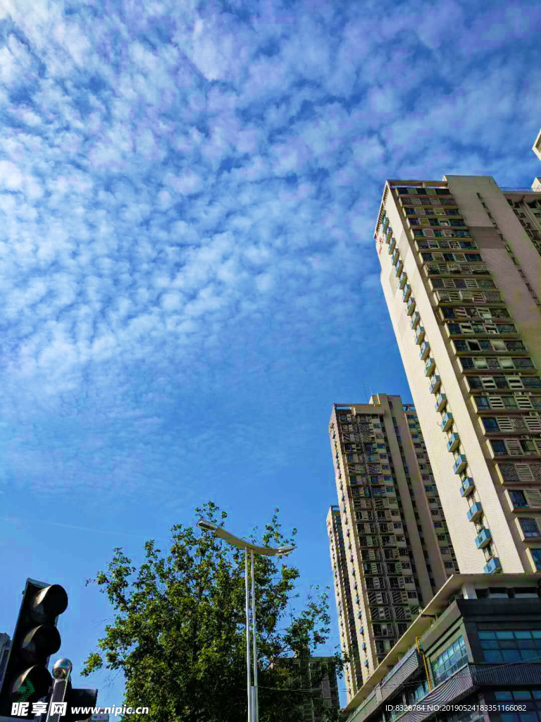 城市街景