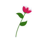 一支花
