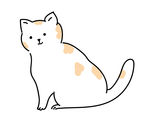 蹲着的小猫