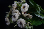 小雏菊仿真花
