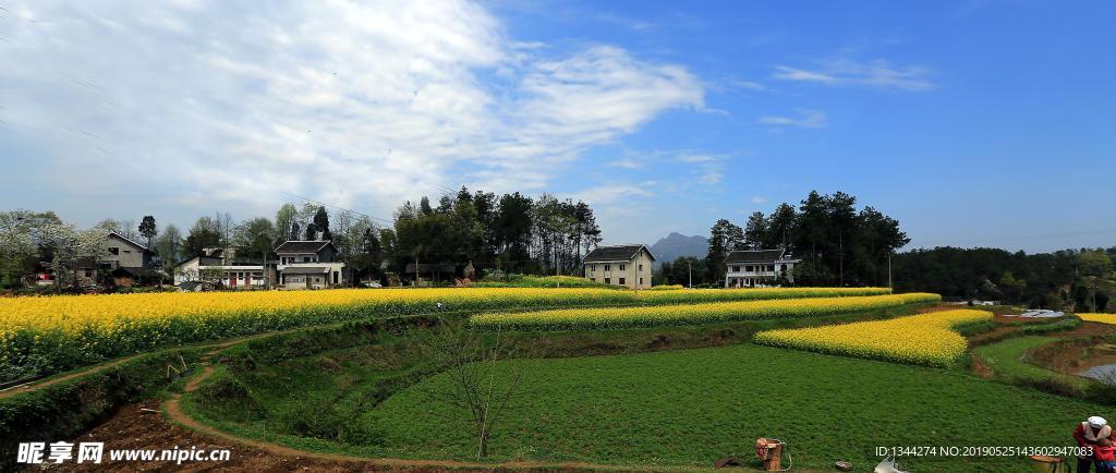 乡村风景