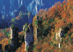 天子山天台