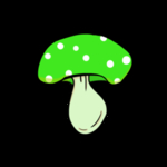 蘑菇