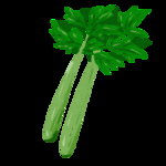 芹菜
