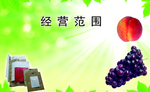 苹果名片设计