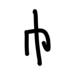 巾