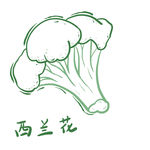 西兰花 青菜