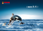 励志宣传