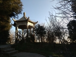 风景