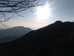 树 山 阳