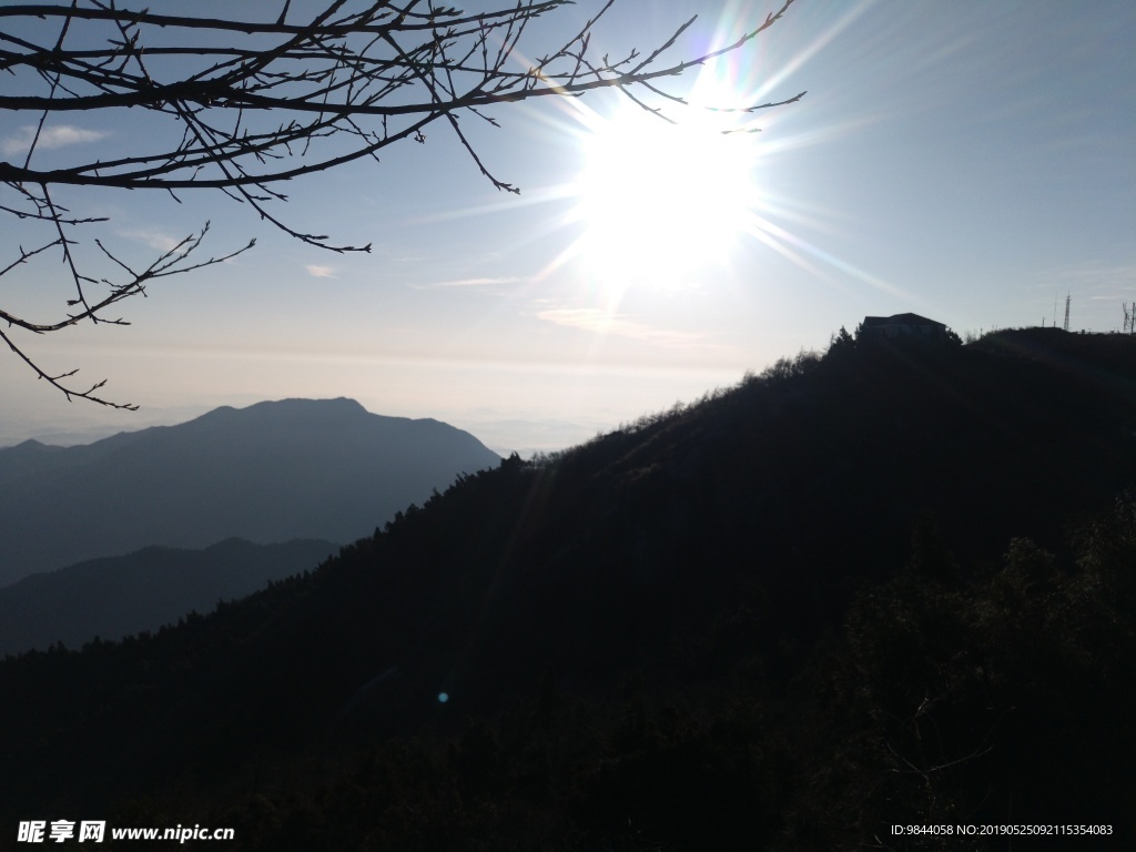 树 山 阳