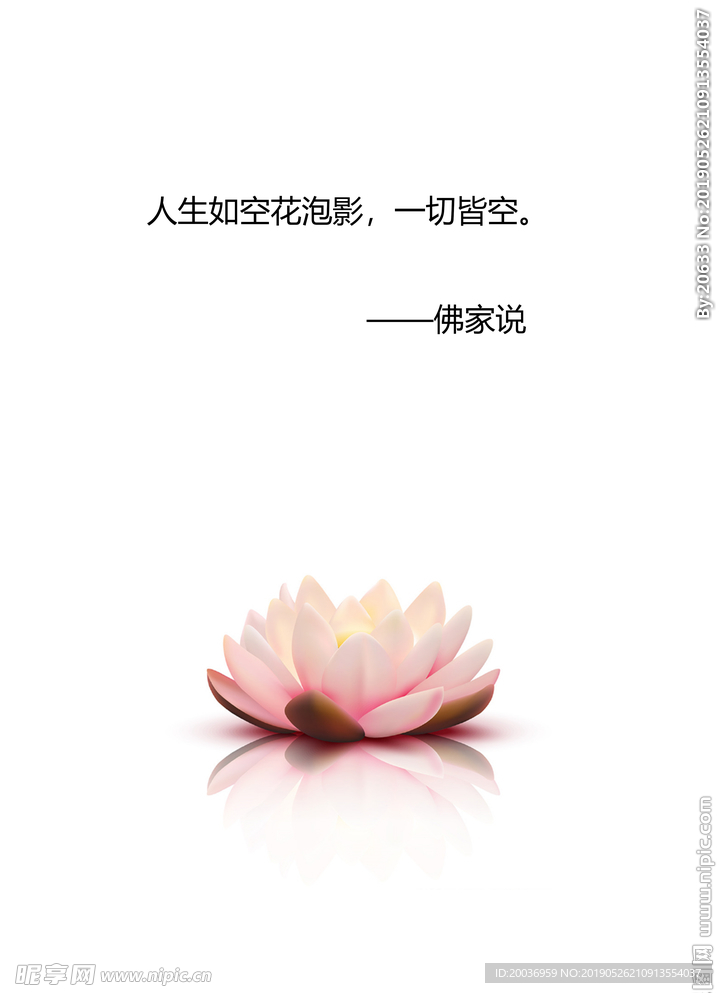 莲花