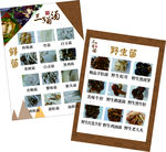 菌汤画册