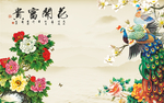 孔雀