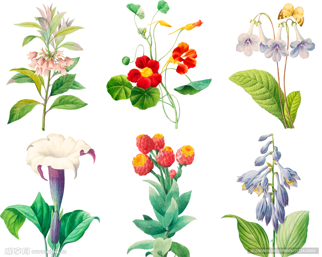 花纹