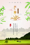芒种海报