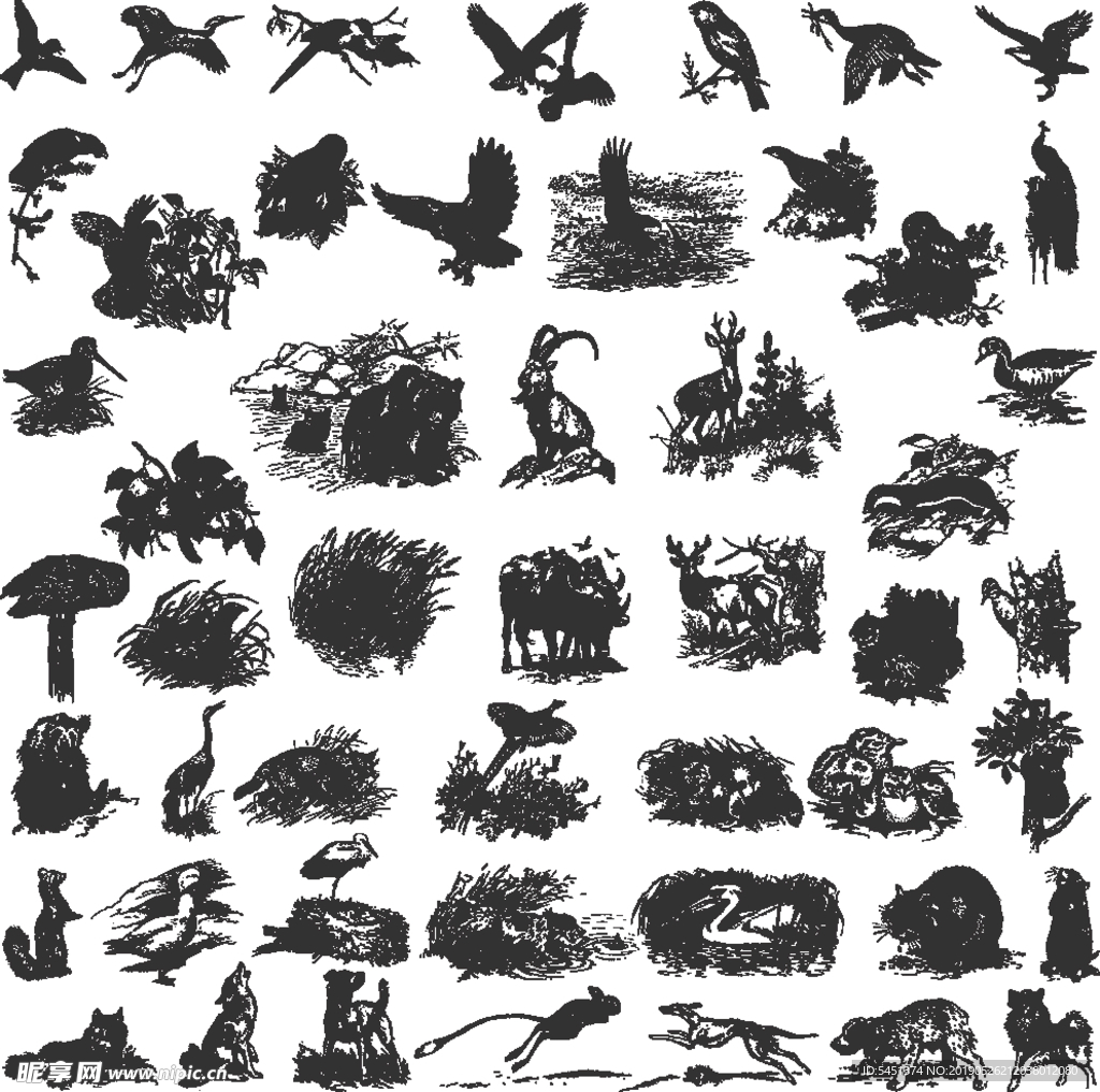 黑白素描动物图案