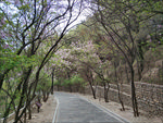 路