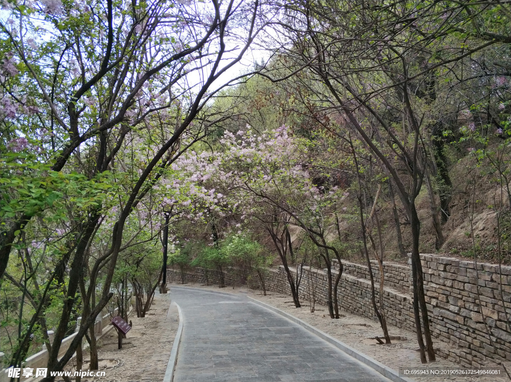 路