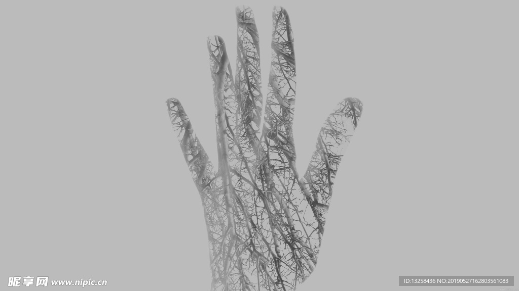手部树枝