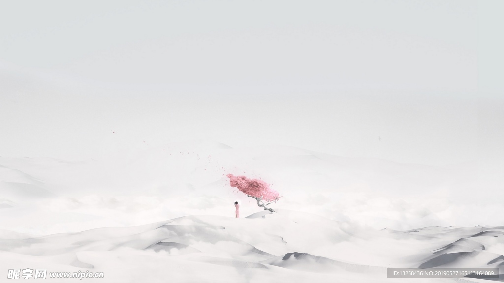 雪原桃花