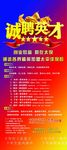 保险招聘