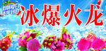 火龙果