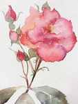 鲜花  插画