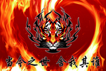 火焰老虎班旗