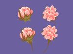 花纹