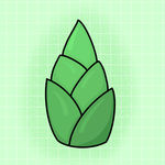 竹笋 植物 食物