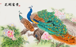孔雀