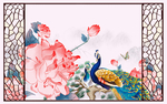 孔雀