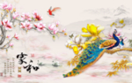 孔雀
